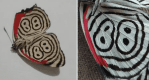 Captura de tela 2024-02-13 100852