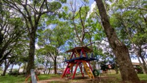 IMG_20231223_123507147_HDR