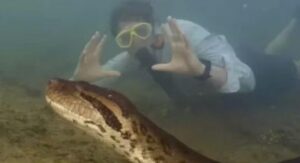 WhatsApp-Image-2024-02-22-at-08.05.38-696x378-1