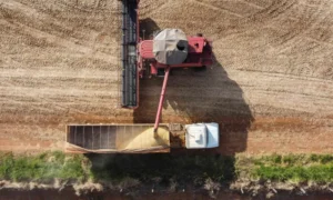 colheita-soja-Foto-Jonathan-Campos-AEN-2