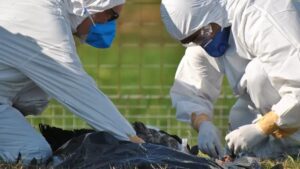 d7bd747d-6a73-481c-b52f-ff33c73bb20f