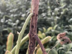 4932656_9ac90c4bc9f9fd6