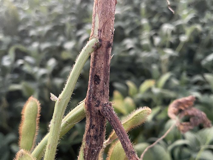 4932656_9ac90c4bc9f9fd6