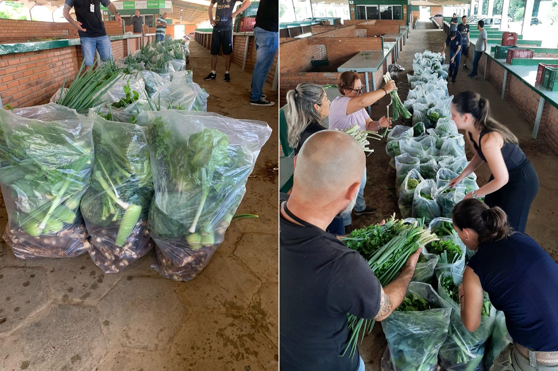 984ec625-a630-4cc1-8646-7e5eaadc1de2-horz