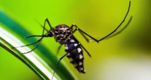 Captura de tela_11-3-2024_153721_agenciabrasil.ebc.com.br