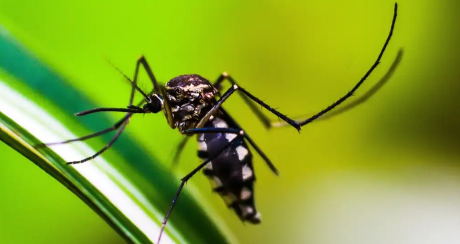 Captura de tela_11-3-2024_153721_agenciabrasil.ebc.com.br