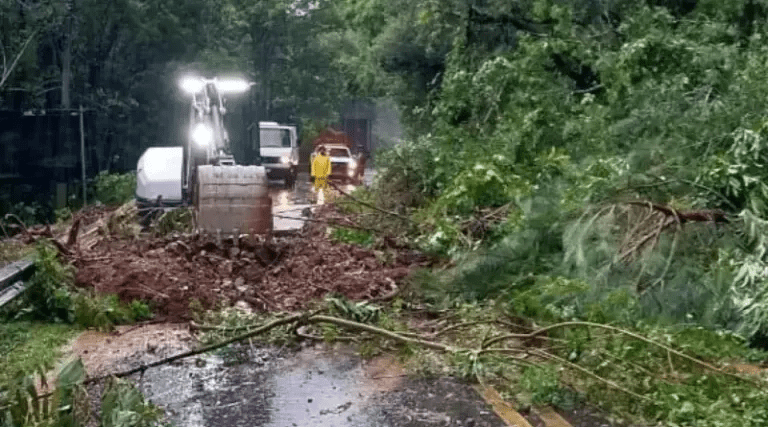 Monica_Monica_2024-03-21_09_14_47