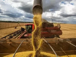 agronegocio-safra-e1708556836274