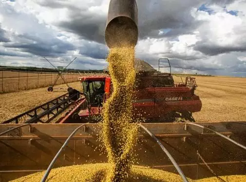 agronegocio-safra-e1708556836274