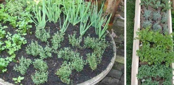 limpar-temperos-09031-610x300-1