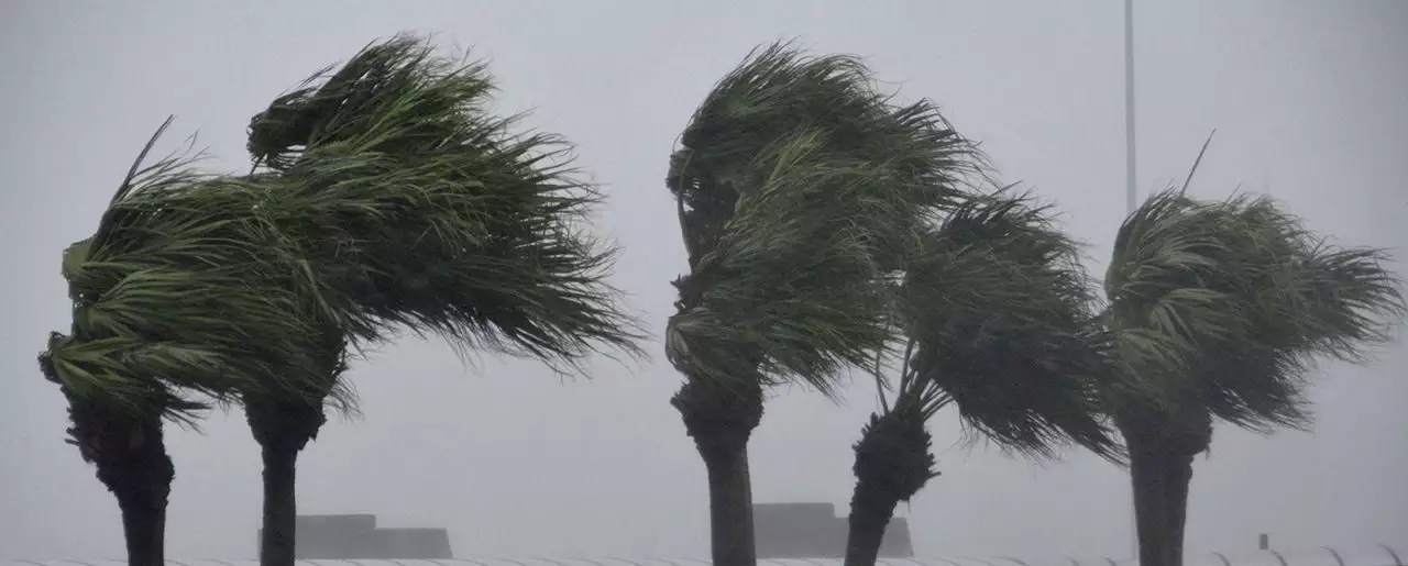 tufaoss-e1604258186113