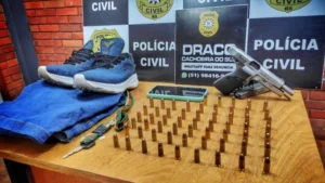 2c34e1_4f7874a9e04e42d18c3347feff962ec2mv2