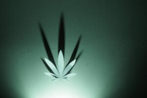 4942442_dd56c79e4d03a34