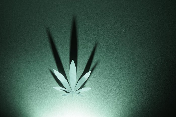 4942442_dd56c79e4d03a34