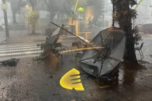 4955051_0230c9b39042e07