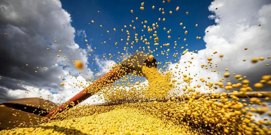 50926862498-639e8931b8-o