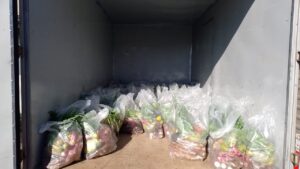 Imagem-do-WhatsApp-de-2024-05-21-as-10.34.18_787fc068