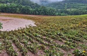 Monica_Monica_2024-06-07_01_32_39