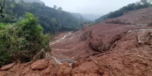 WhatsApp-Image-2024-05-08-at-15-22-24