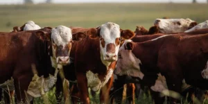 46814069534-4e5d567aca-k