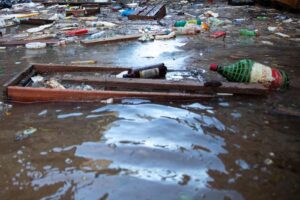 4993126_188bcf63763e6ed