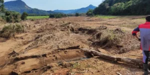 ffcea2d1-a7dd-4a60-82ff-82ed3fec66f2