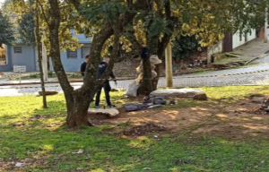 Captura de tela 2024-08-01 095905