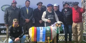 Grande-Campe-o-Macho-Hampshire-Down-Credito-Tatiana-Py-Dutra-Divulgac-o