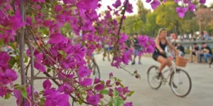 primavera nublado sem sol