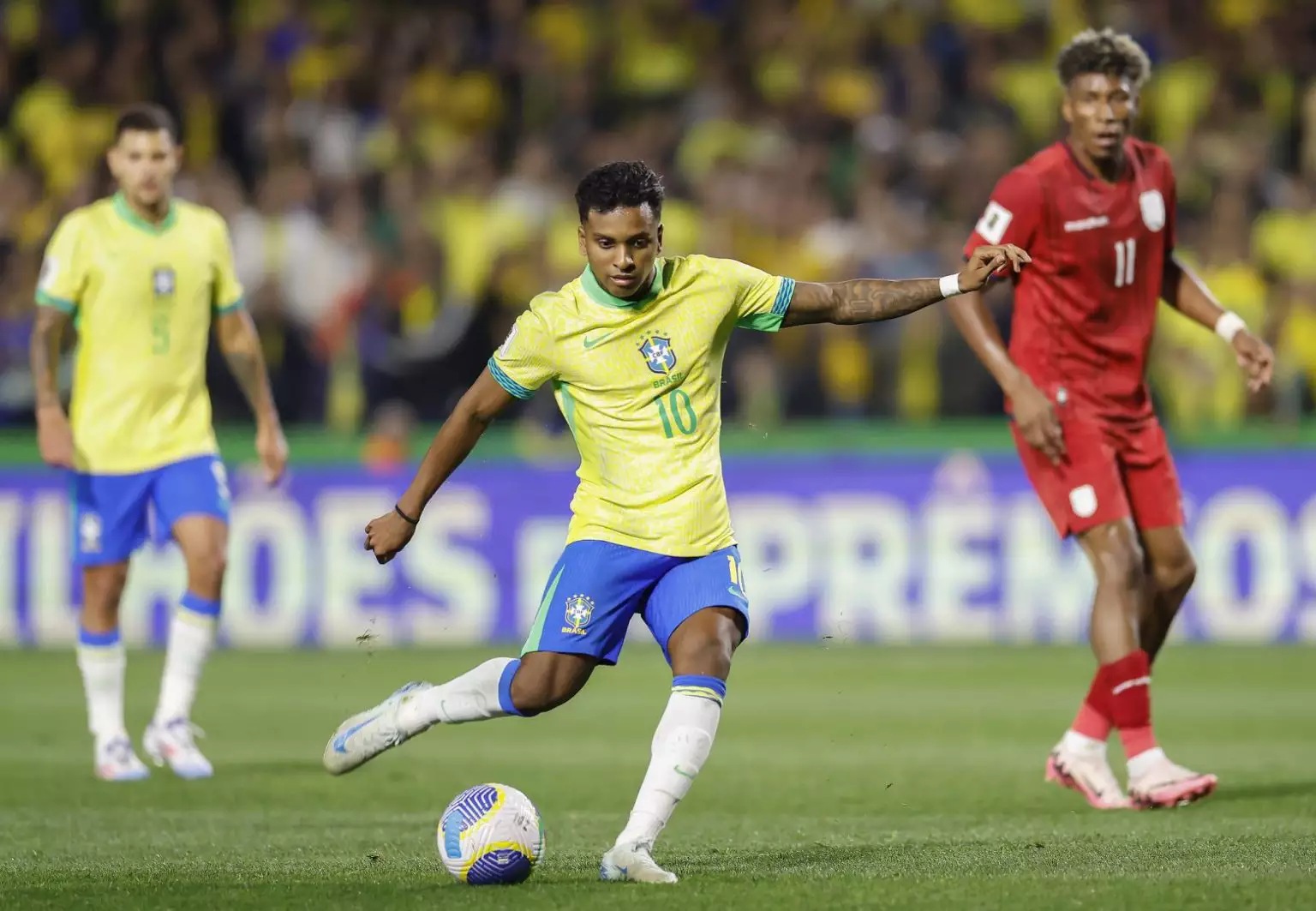 53978163616_9f54e57fbc_k-1536x1063