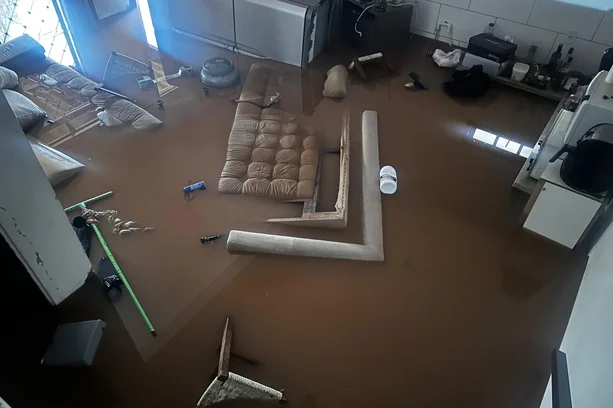 5055040_92571a5f4dedf2c