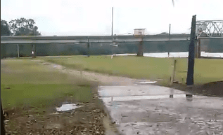 Captura de tela 2024-10-24 133640