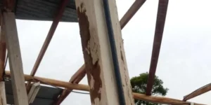 468606560-1086494616548328-2757159128317545717-n