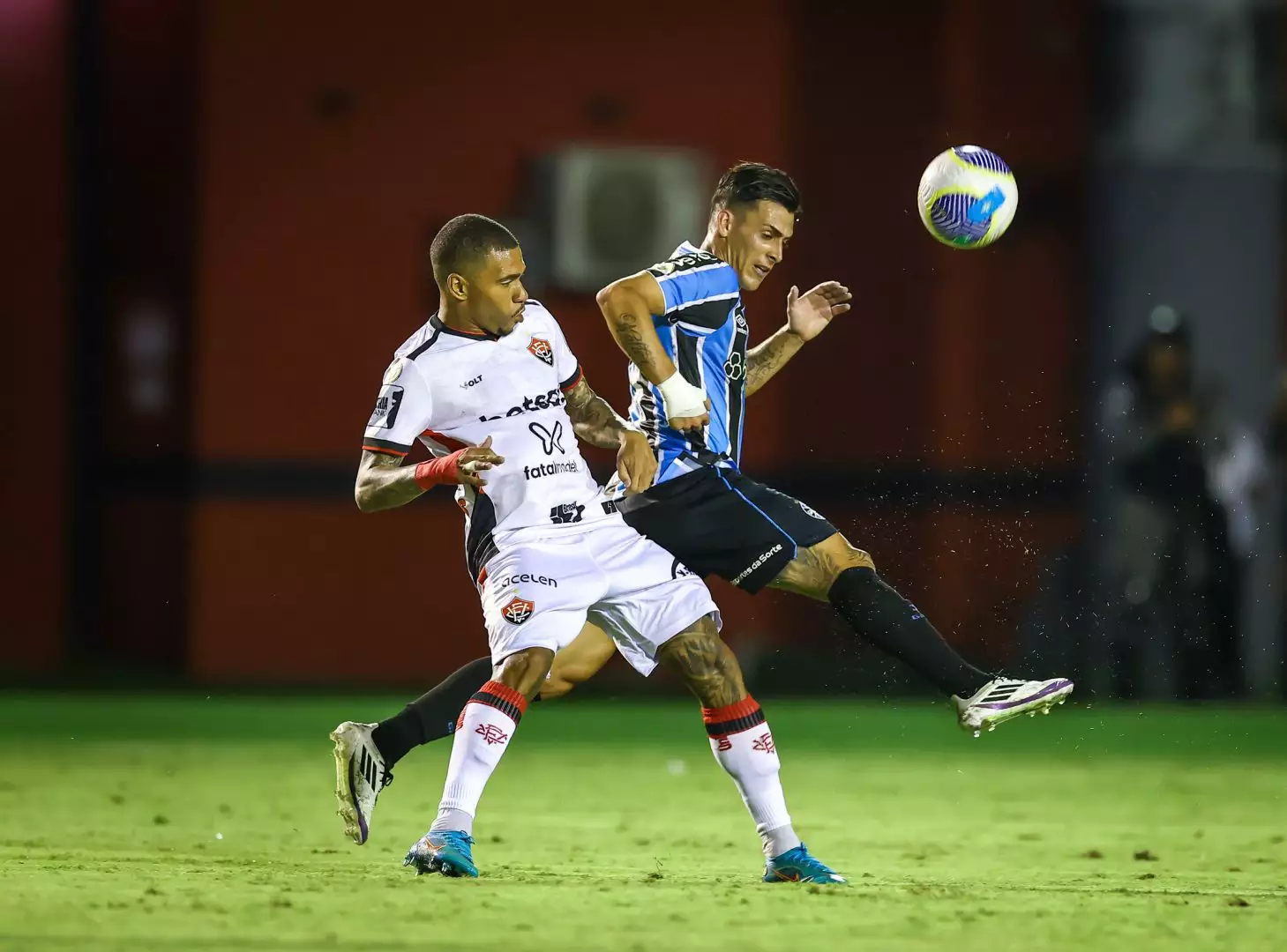 54184302279_af7e1d12ce_o