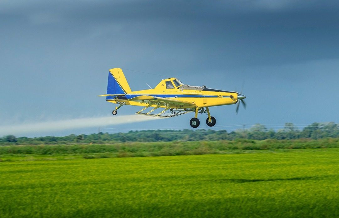 A aviação agrícola Avião Rural Plantação ErBorecidas