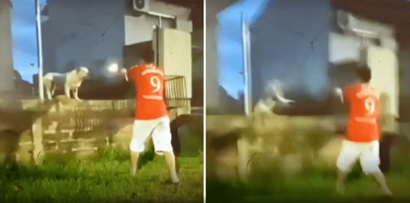 Captura de tela 2024-12-04 084633