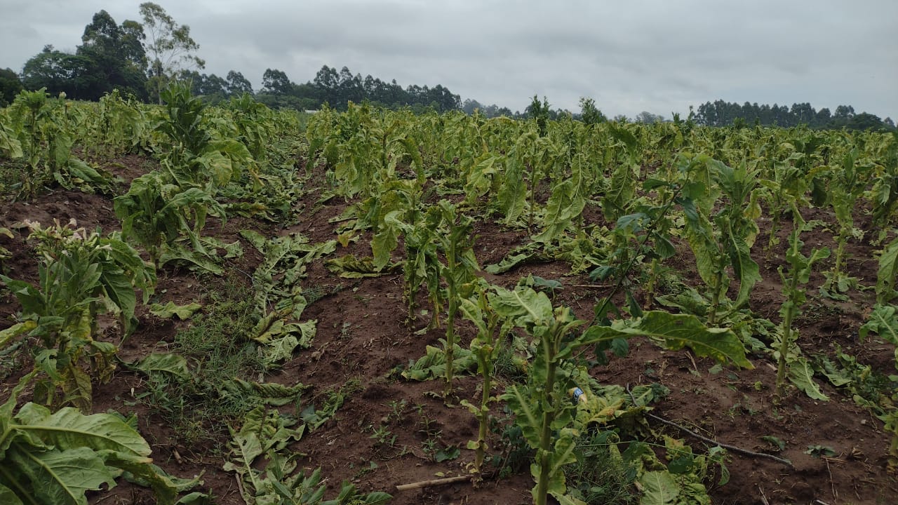 WhatsApp-Image-2022-12-03-at-09.25.53