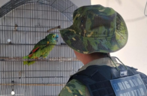 2º Pelotão Ambiental da Brigada Militar em Cachoeira do Sul