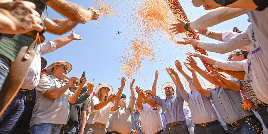 Abertura-Colheita-Milho