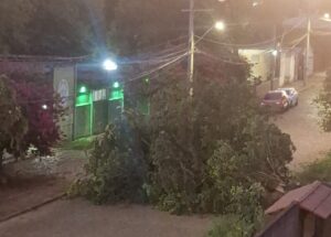 WhatsApp Image 2025-01-14 at 08.26.18