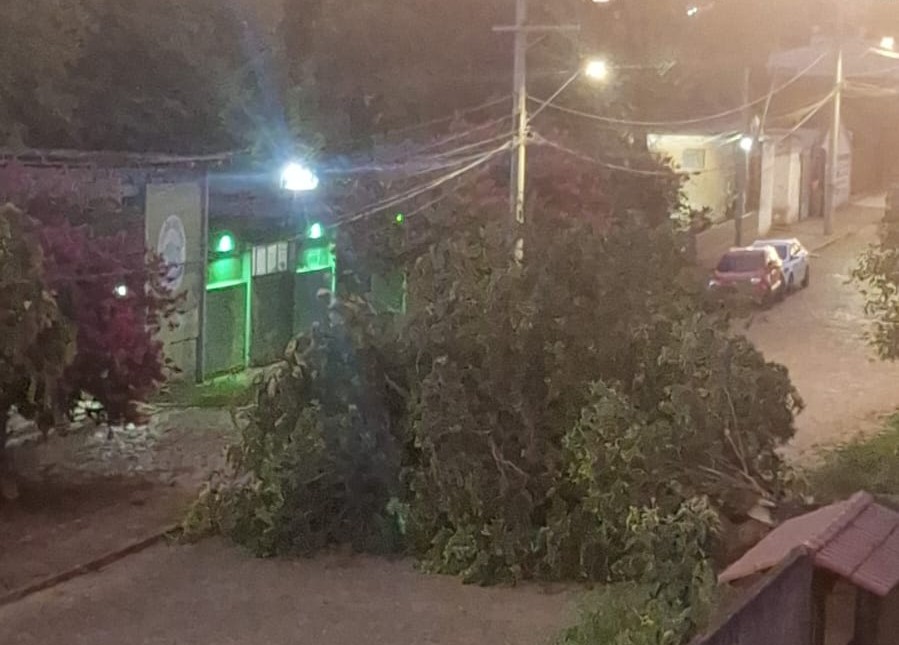 WhatsApp Image 2025-01-14 at 08.26.18