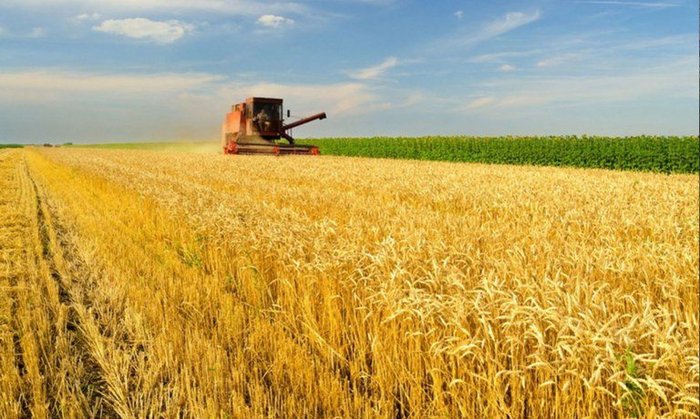 Cerca de R$ 50 bilhões de recursos subsidiados do Plano Safra estavam bloqueados em virtude da suspensão das linhas.