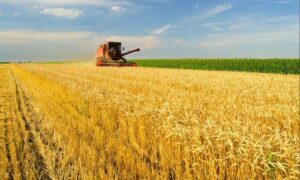 Cerca de R$ 50 bilhões de recursos subsidiados do Plano Safra estavam bloqueados em virtude da suspensão das linhas.