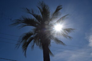 SOL CALOR VERÃO - FOTO FRANCIS SOARES