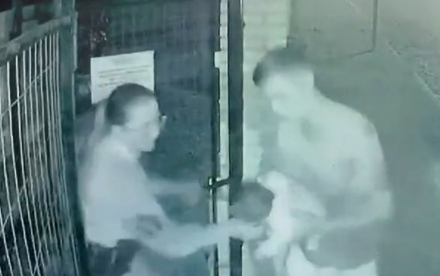 POLICIAIS SALVAM BEBê