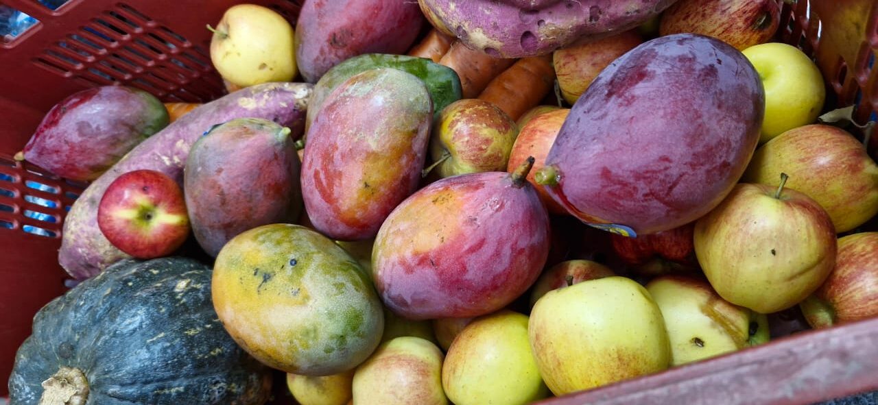 WhatsApp Image 2025-02-19 at 17.01.30