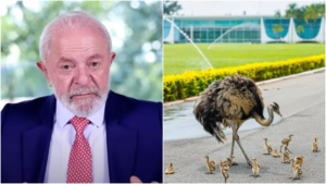 lula-ema-prismada-848x477