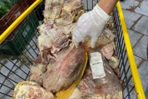 alimentos-estragados-e1740913685976