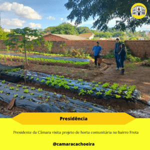 EDIÇÃO DE POST (9)