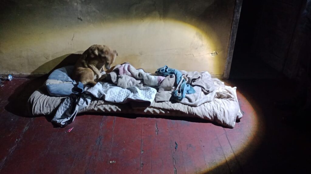 WhatsApp Image 2025-05-29 at 09.38.33